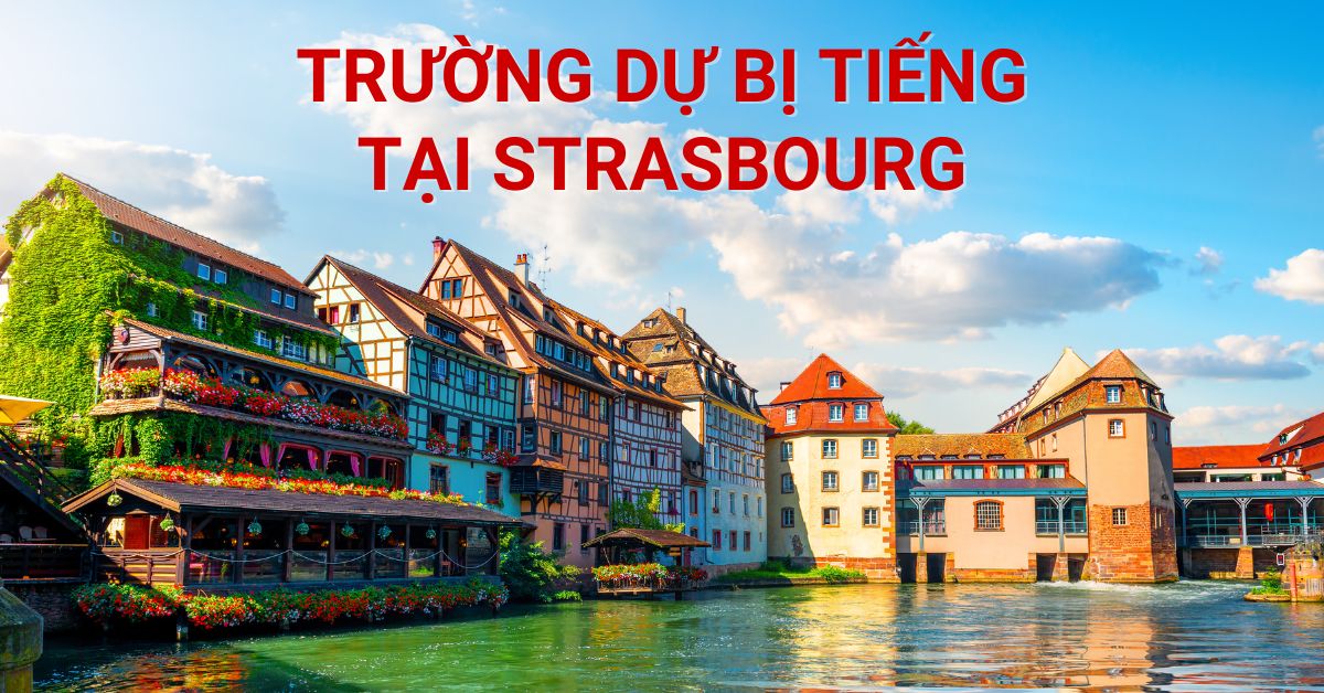 khóa học tiếng Pháp tại Strasbourg