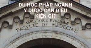 Đào tạo Y Dược tại Pháp