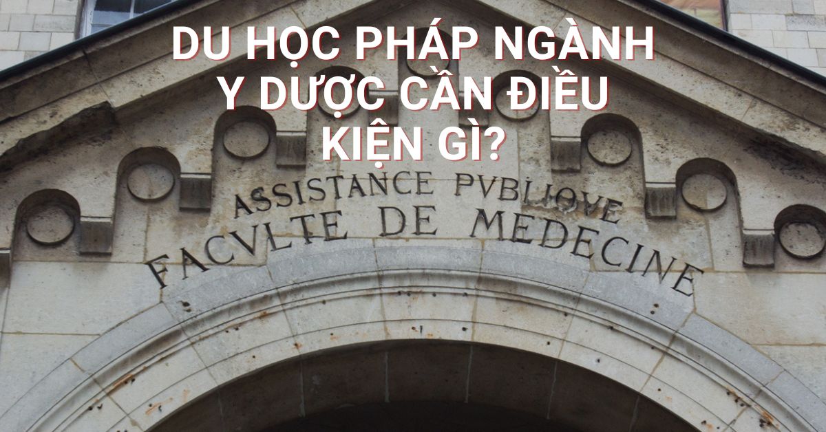 Đào tạo Y Dược tại Pháp