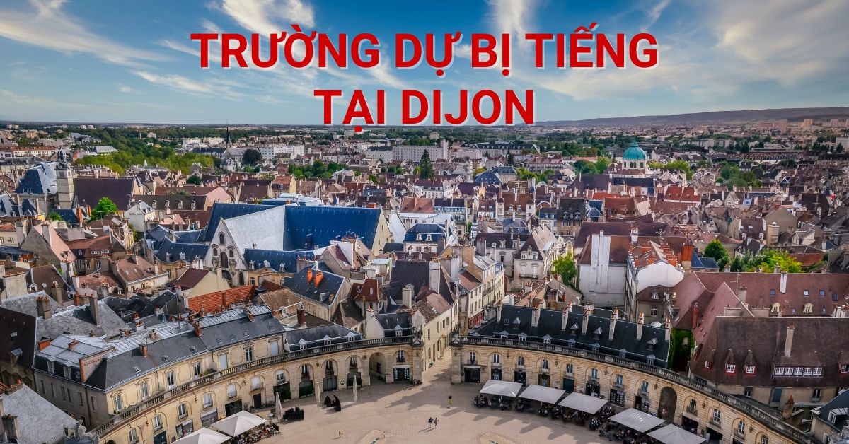 Học dự bị tiếng tại Dijon