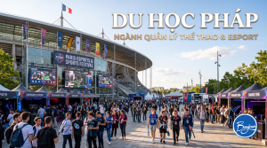 Du học Pháp ngành Quản lý thể thao & Esport