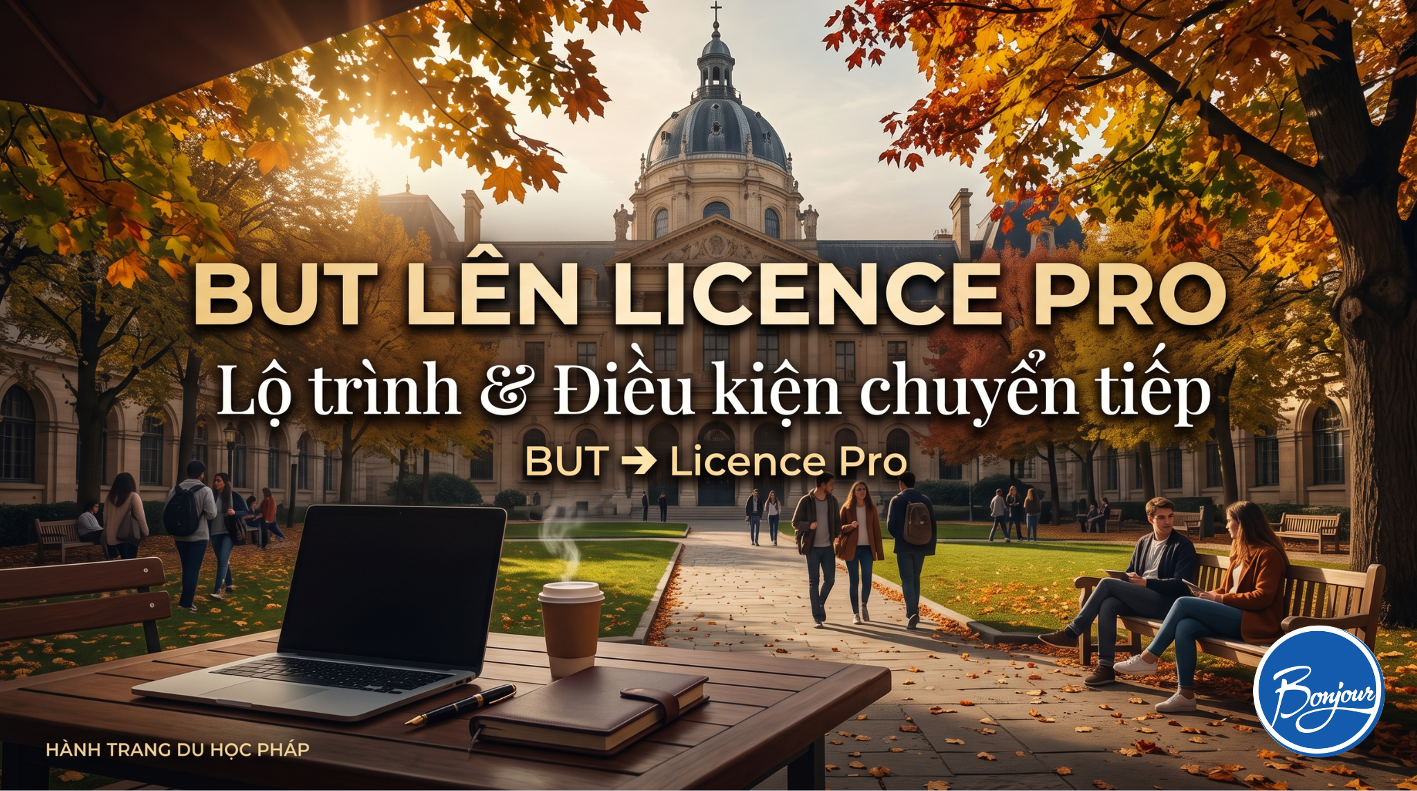 BUT lên Licence Pro: Lộ trình và điều kiện